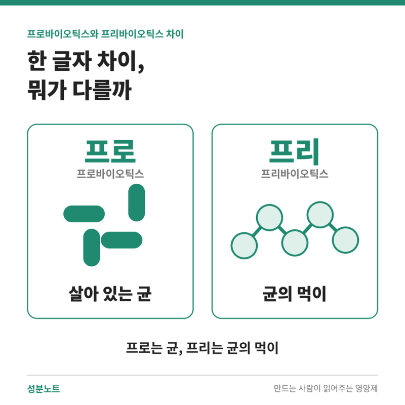 프로바이오틱스와 프리바이오틱스 차이, 뭐가 다른가요?