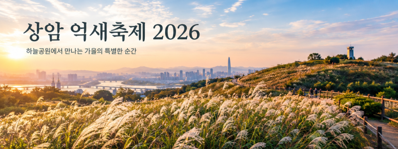 상암 억새축제 2026 일정·주차·가는법 총정리, 하늘공원 억새, 야경 명소