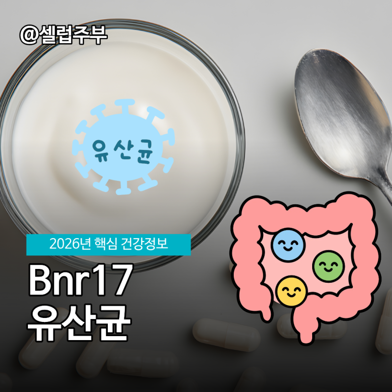 Bnr17유산균 추천 매일 챙기는 방법