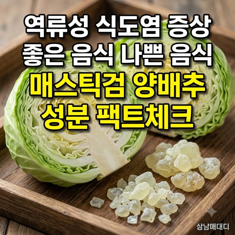 역류성 식도염 증상 좋은 음식 나쁜 음식 매스틱검 양배추 비타민U 성분 팩트체크