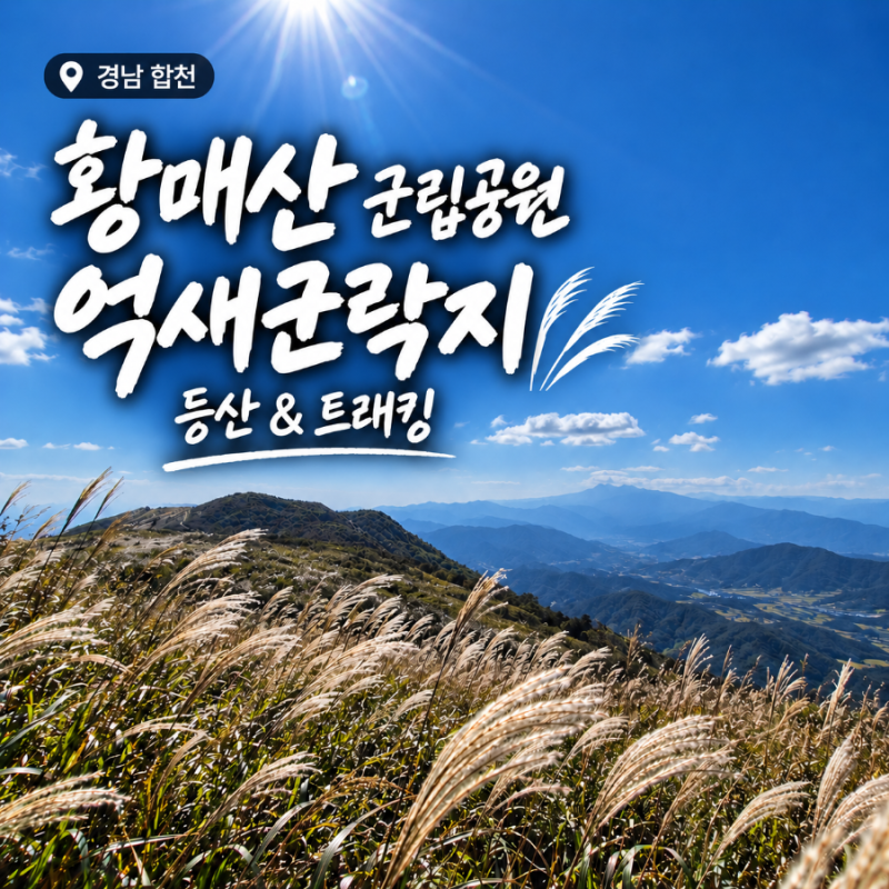 [황매산군립공원 억새 등산 트래킹 솔직후기] 경남 합천 가볼만한곳