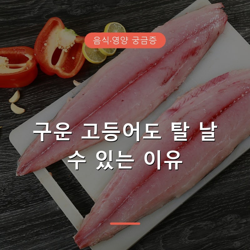 고등어 구워도 히스타민 식중독 걸릴까, 실온에 둔 시간이 관건