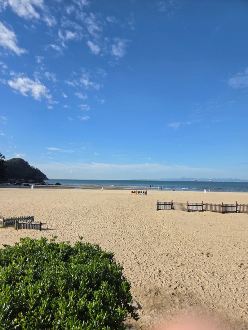 [360번째] 부산 다대포 & 경주 오류고아라해변