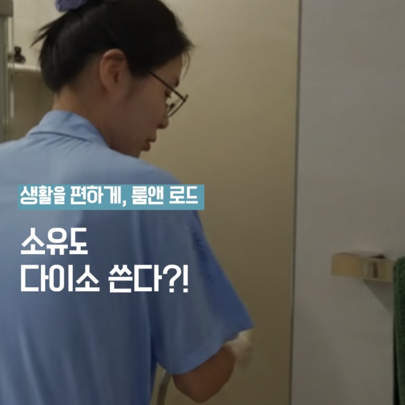 소유도 다이소에서 산다고? 집 청소할 때 직접 쓰는 살림템