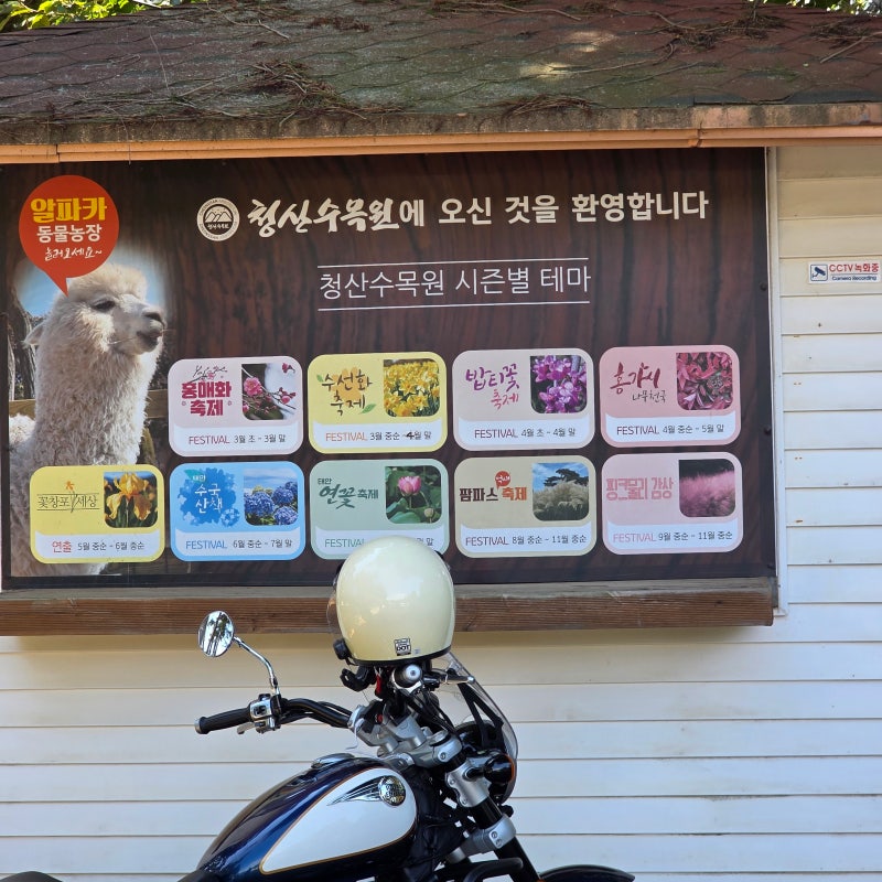 태안 청산수목원 핑크뮬리와 애견동반 게국지 맛집 1박2일 2일차