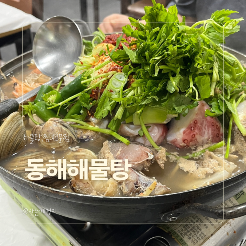여주 터미널 근처 해물찜, 탕 전문점 동해 해물탕 여주 본점 내돈내산 후기