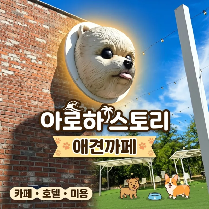 용인 처인구 /애견카페/ 아로하스토리/ 강아지 3마리와 즐거운 하루