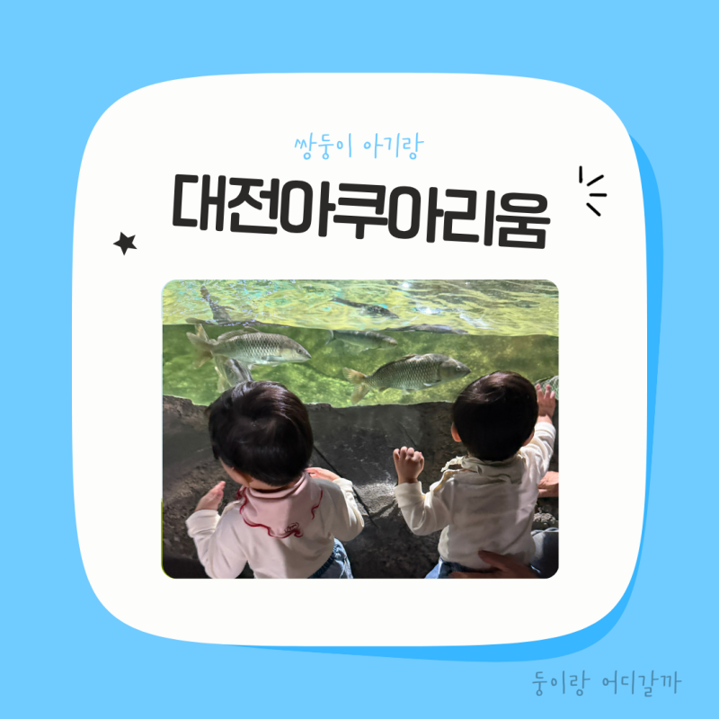 아기랑 대전아쿠아리움 l 청주 근교 보문산 대전아쿠아리움 후기 주차 할인 즐길거리
