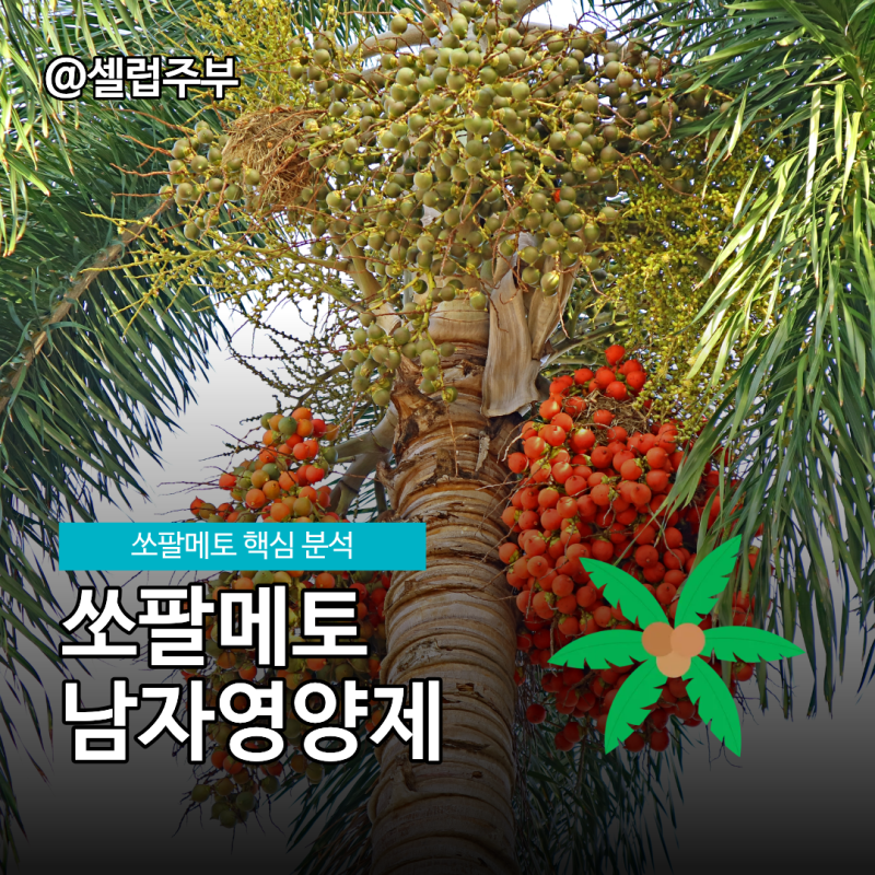 남편 쏘팔메토 남자영양제 고를때 기준!