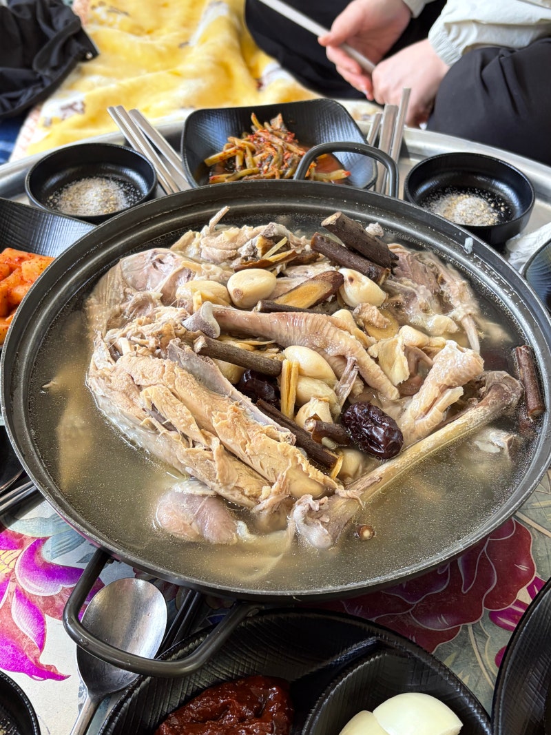 구례 하동 애견동반 식당 , 계곡 소리 들으며 먹을 수 있는 쌍계사 신진식당
