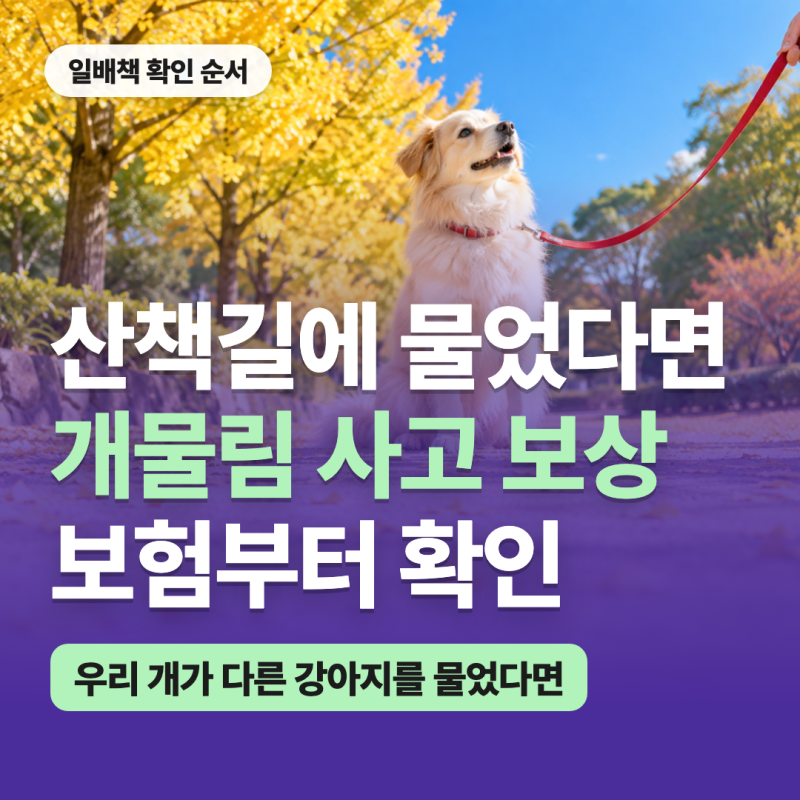 개물림 사고 보상, 우리 개가 다른 강아지를 물었다면 확인할 보험
