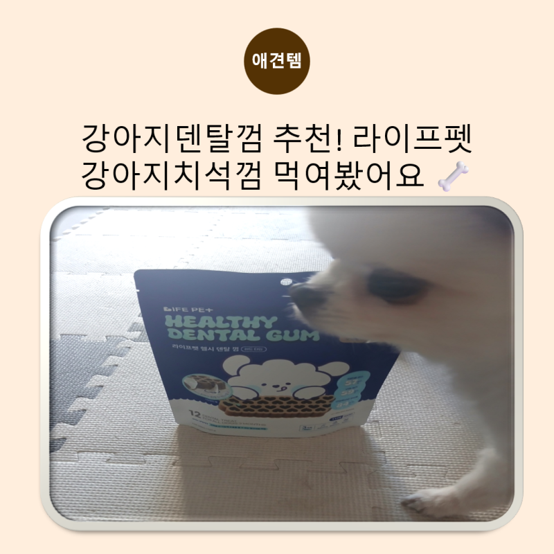 강아지치석제거 신경 쓰인다면? 라이프펫 강아지덴탈껌