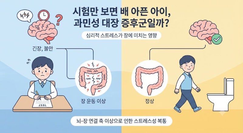 시험만 보면 배 아픈 아이｜과민성 대장 증후군일까? 아침 식사 팁