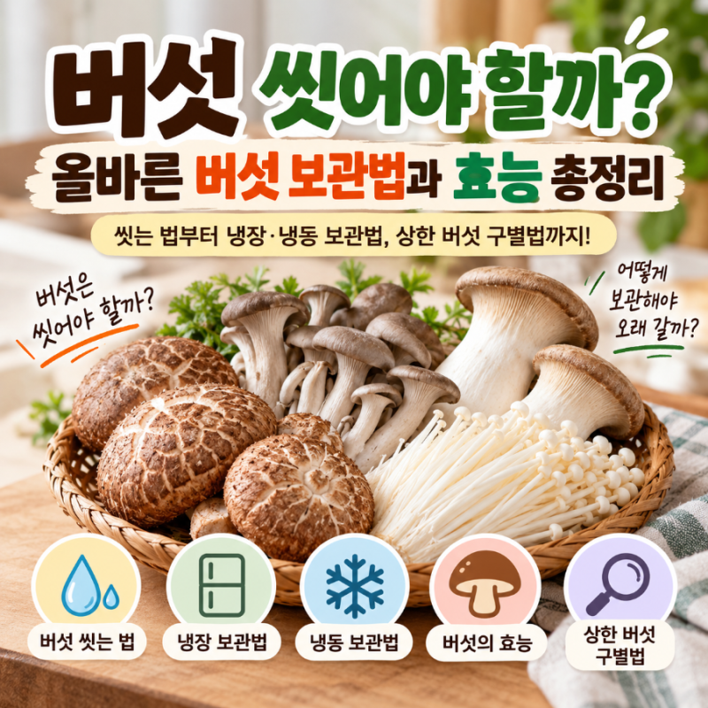 버섯 씻어야 할까? 올바른 버섯 보관법과 효능 총정리