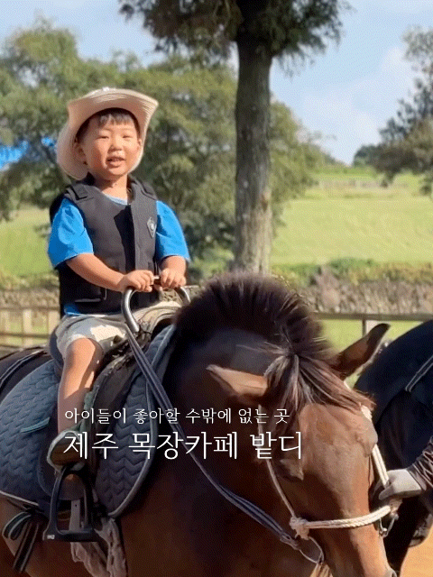 제주밭디, 아이와 제주 승마체험부터 이색자전거까지, 목장카페 후기