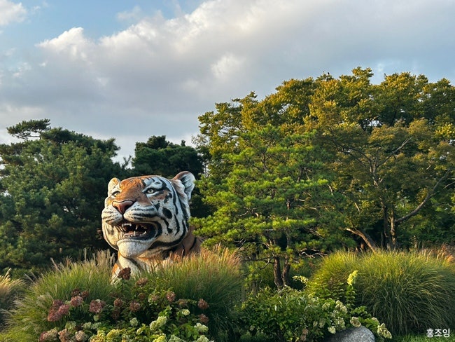 서울대공원 동물원 주말나들이