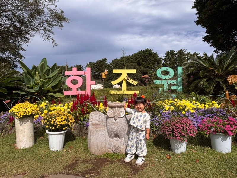 제주 서쪽 아이랑 가볼만한 곳 실내외 동물체험 맹금류 체험과 알파카·사랑앵무·토끼 먹이....
