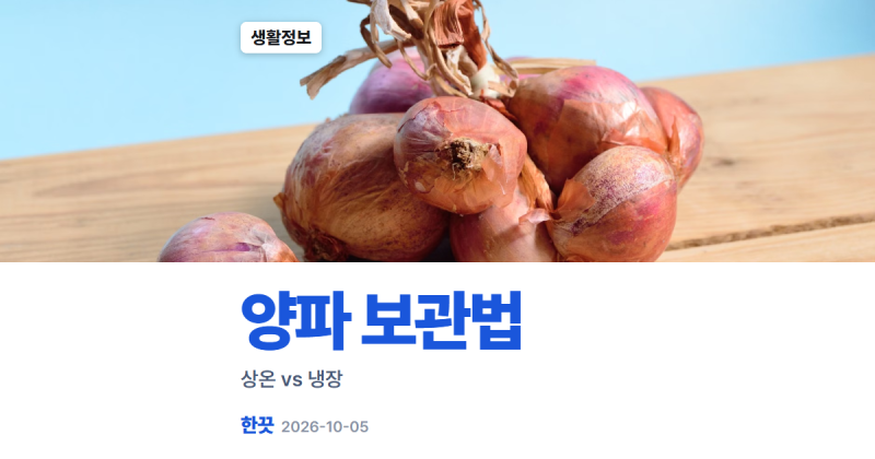 양파 보관법 상온과 냉장 자료가 갈리는 지점, 싹 난 양파는 어떻게 볼까