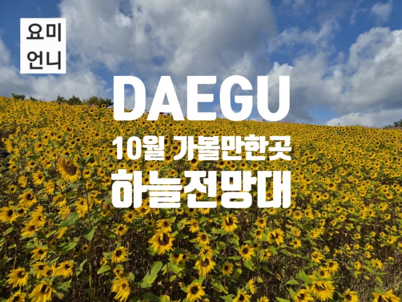대구근교 10월 가볼만한곳 군위 꽃구경 명소 화산산성 하늘전망대 실시간