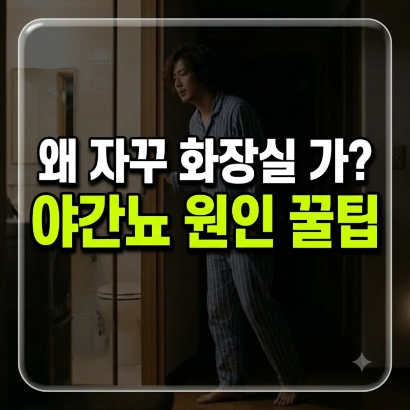 밤마다 화장실 가는 이유, 야간뇨 원인 5가지와 줄이는법 정리