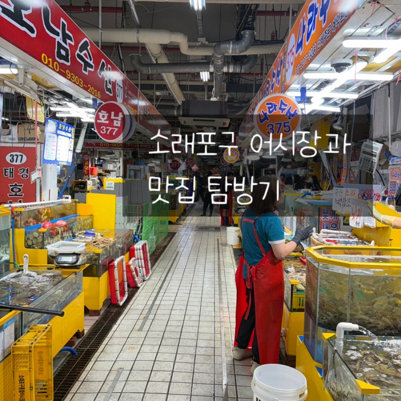 소래포구 가을축제 후기 어시장 대하 가격부터 여수오동도조개구이 맛집까지