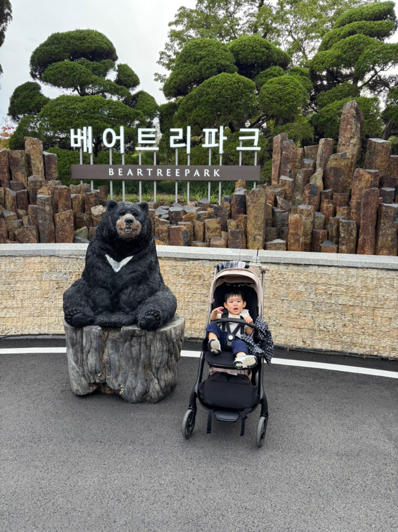 [세종] 아기랑 다녀온 베어트리파크 가을 나들이 (가을 축제 : 시간의 정원)