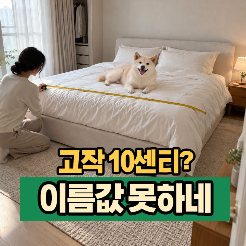 “고작 10cm 차이?” 이름만 보면 속기 쉬운 침대 사이즈