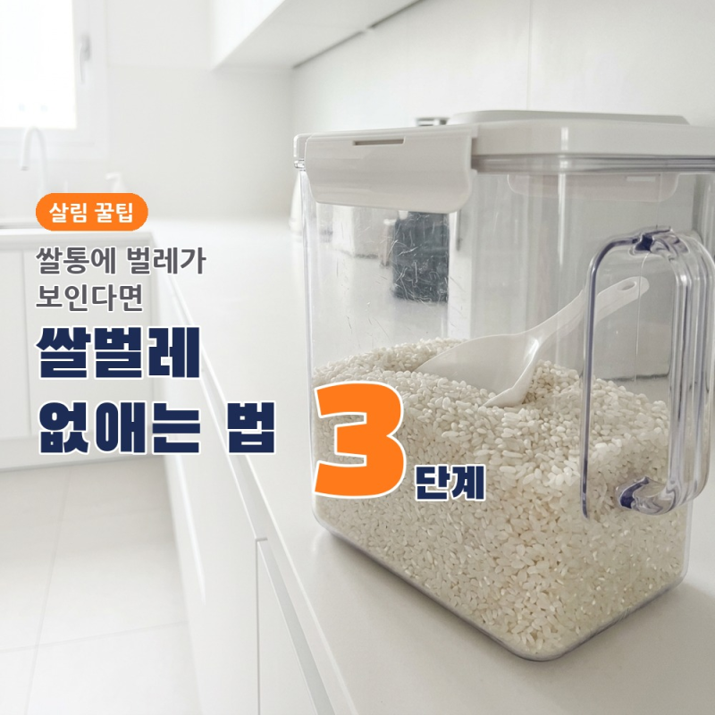 쌀벌레 없애는법 3단계, 소주 적신 솜 3일과 4도 냉장 보관법