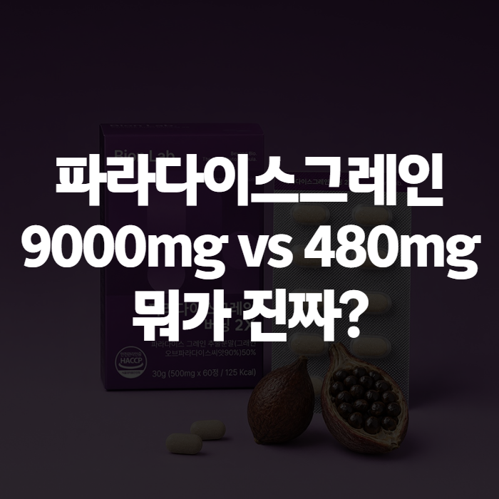 파라다이스그레인 효능과 부작용, 먹는법까지 — 가격·추천 고르는 기준 총정리