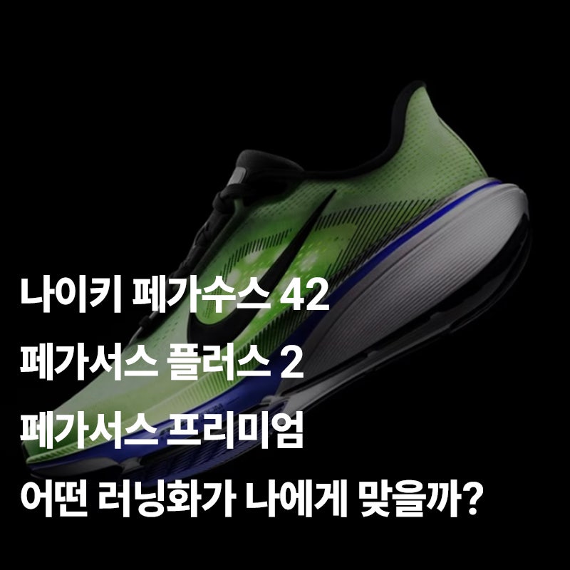 나이키 페가수스 42·플러스 2·프리미엄 차이, 어떤 러닝화가 나에게 맞을까?