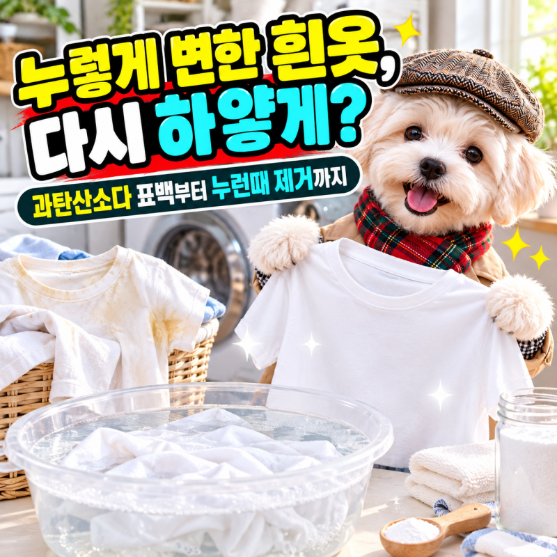 누런옷 표백하는법, 과탄산소다부터 흰옷 누런때 원인·세탁법까지
