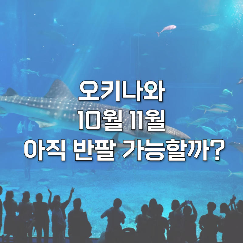 오키나와 10월 11월 날씨, 아직 반팔 가능할까? 여행 전 확인하세요!