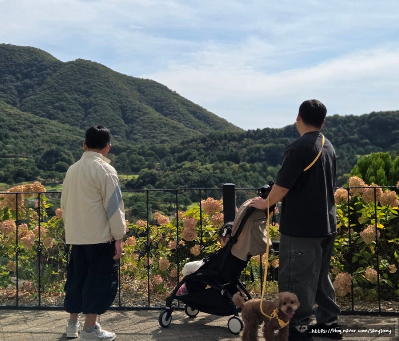 가평 스위스마을 에델바이스, 가을에 더 예뻤던 아이와 반려견 산책 코스