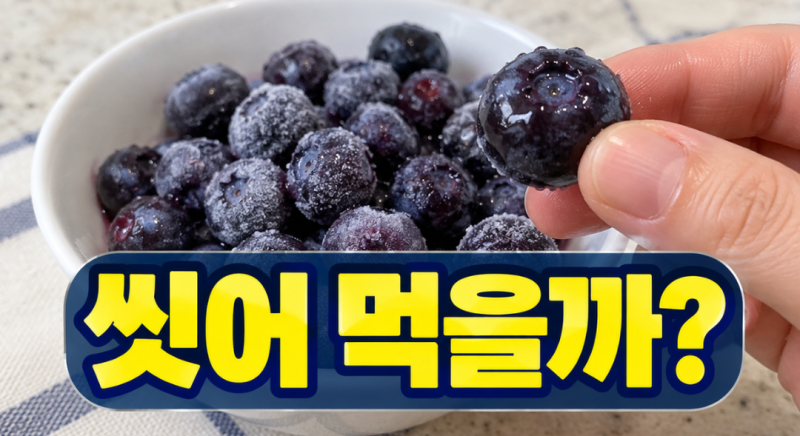 코스트코 냉동 블루베리 씻어야 할까? 먹기 전 확인할 표시