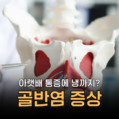 여자 골반염 증상, 아랫배 통증에 냉까지 달라졌다면? 치료, 예방법 및 질염 차이점ㅣ망고의 ....