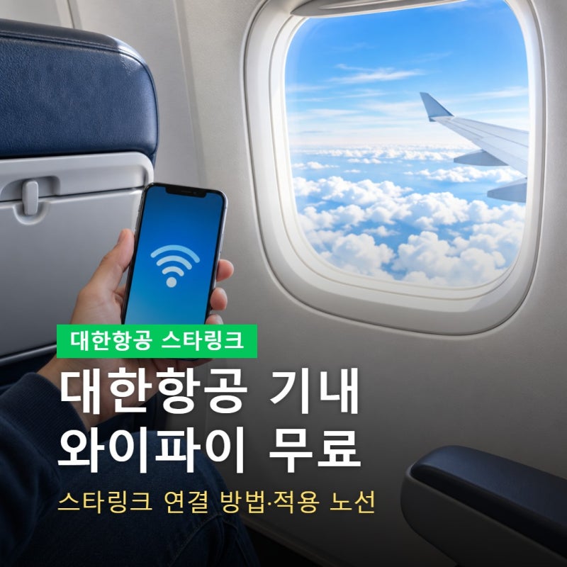 대한항공 기내 와이파이 무료, 스타링크 연결 방법·적용 노선·안 되는 것 정리