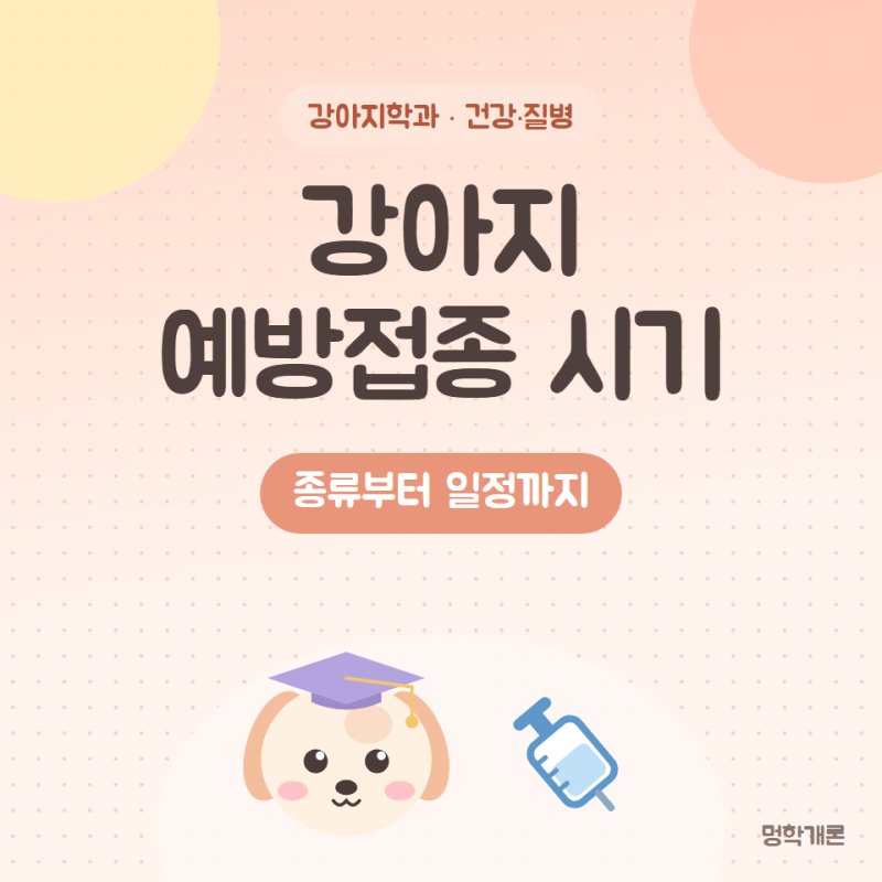 강아지 예방접종 종류와 시기 총정리 종합백신부터 광견병까지