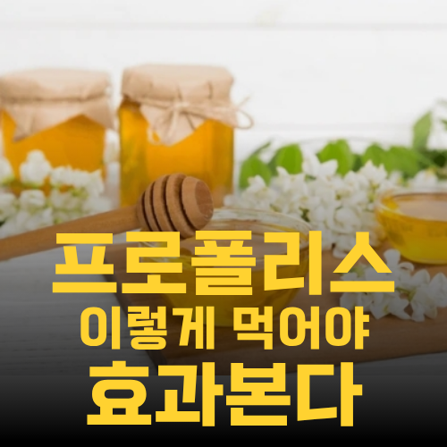 프로폴리스 효과 복용법 환절기 목 칼칼할 때 직빵