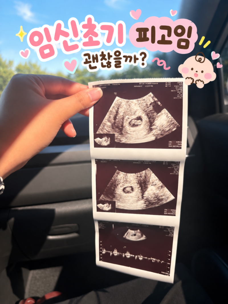 임신초기 갈색냉 갈색혈 피고임 임신 8주 피비침 초기유산증상일까