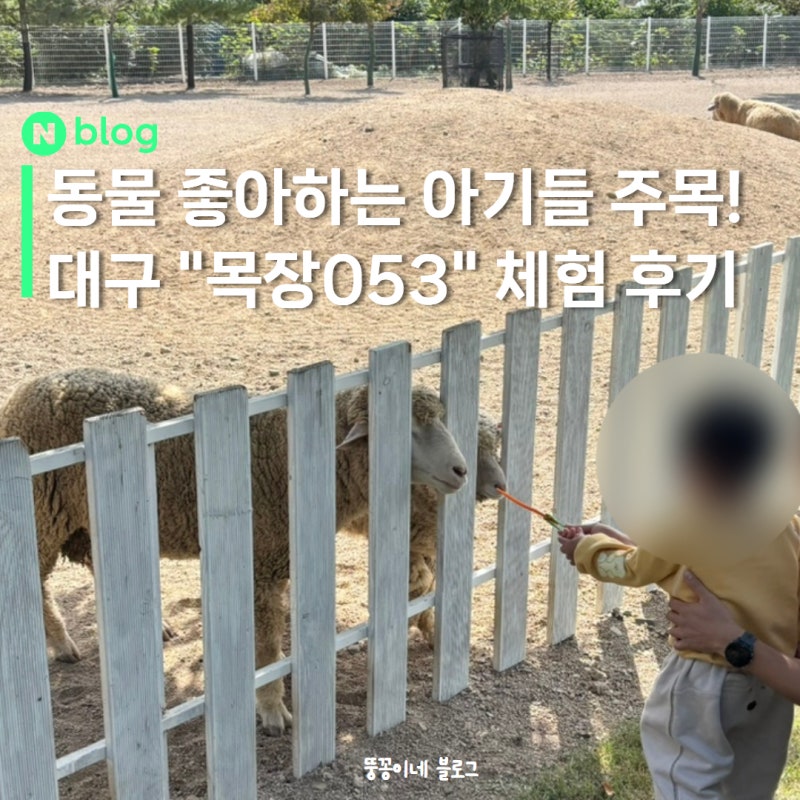 대구 동구 아기랑 주말 가볼만한곳 추천 | “목장 053” 다녀온 솔직 후기