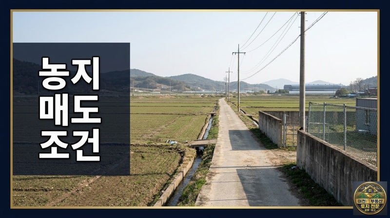 농지 전수조사 이후 더 중요해진 농지 매도 조건 5가지｜거래 전 반드시 확인할 것