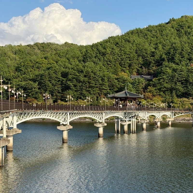 안동 여행 코스 추천 ‘월영교’ 야경 명소지만 낮에도 예뻐요