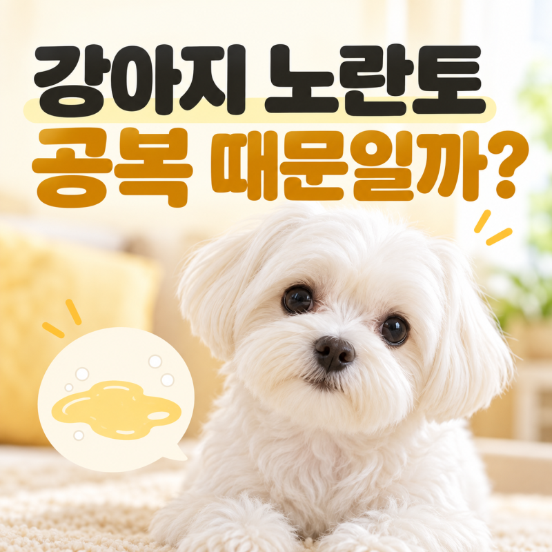 강아지 노란토 왜 할까? 공복토 담즙토 병원 가야 할 때