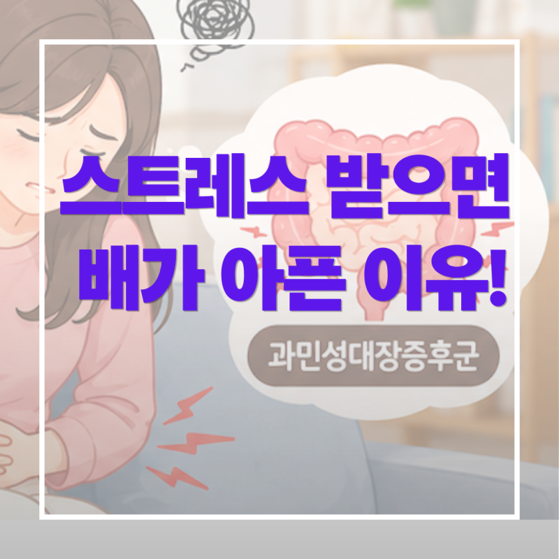 스트레스 받으면 배가 아픈 이유? 과민성대장증후군 증상 7가지