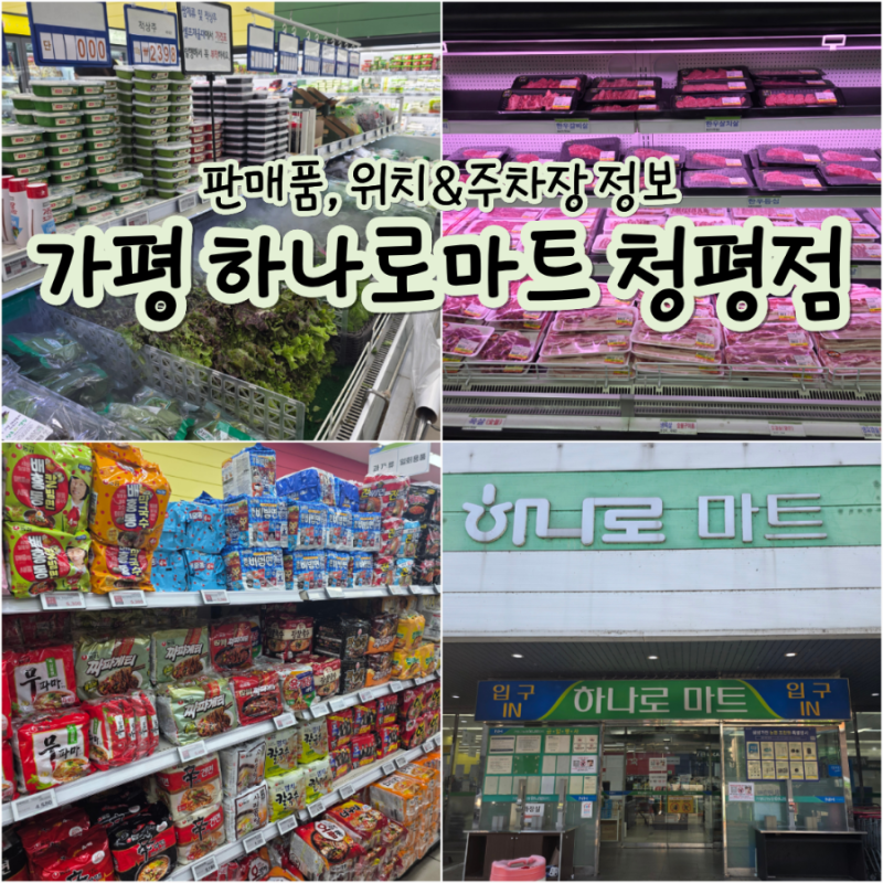 [가평 2박 3일] 켄싱턴리조트 가평 | 주변 인프라 총정리 (가평 청평 하나로마트 •다이소 청....