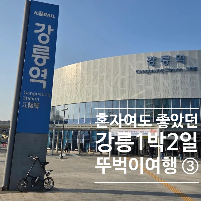 강릉 여자혼자1박2일 뚜벅이 여행 코스 ③ - 솔향힐링해변길, 강릉길감자, 강릉중앙시장 어묵....