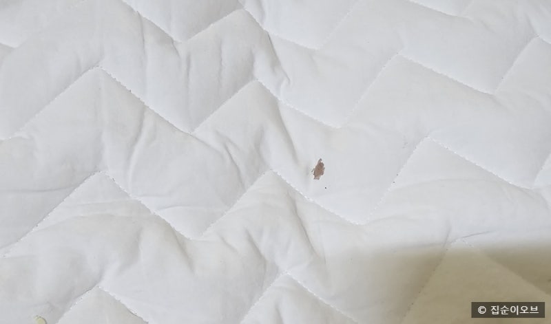 세탁세제가 아닌 집에 있는 제품으로 옷이나 이불에 생긴 핏자국 지우는 방법 2가지
