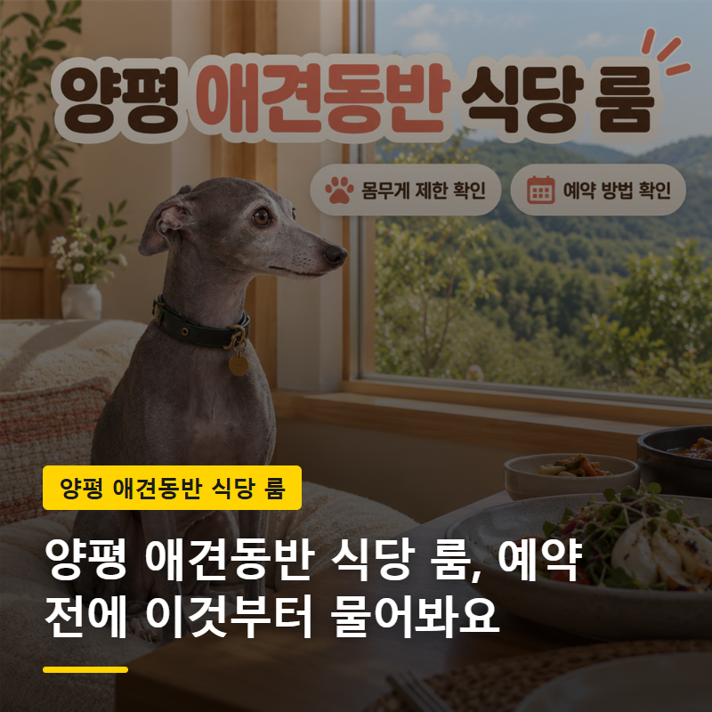 양평 애견동반 식당 룸, 예약 전에 이것부터 물어봐요
