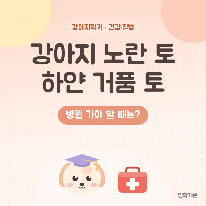 강아지 노란 토 하얀 거품 토 이유와 병원 가야 하는 경우