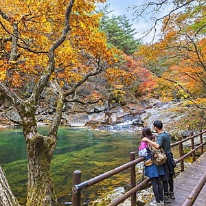 무주 구천동 어사길 가을 단풍여행! 3.3km 숲길 트레킹 코스..(2시간 30분이면 충분! 무주 구천....